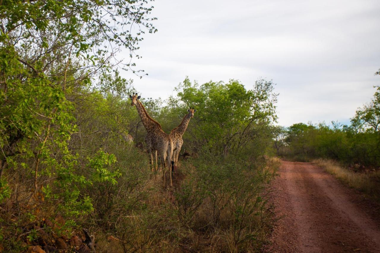 Nungu Game Lodge Lephalale Eksteriør bilde
